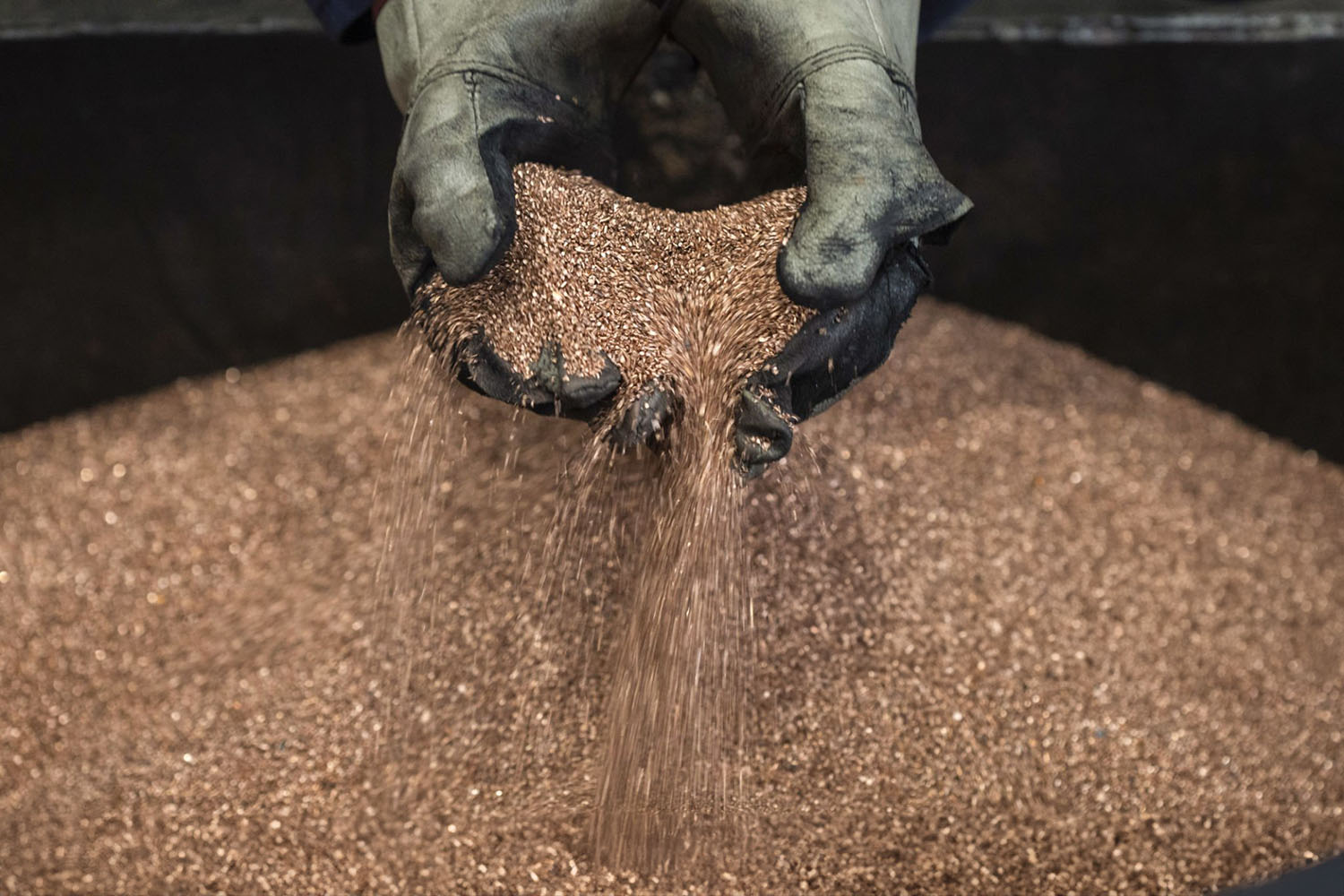 Descriptive Alt Text